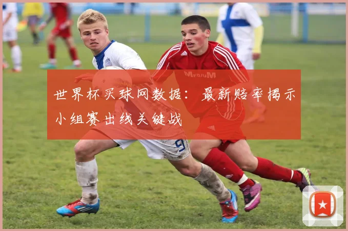 世界杯买球网数据：最新赔率揭示小组赛出线关键战